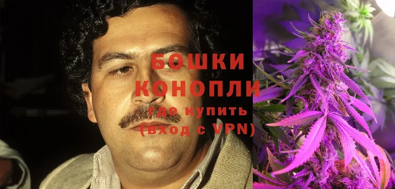 где найти наркотики  Алагир  Бошки марихуана OG Kush 